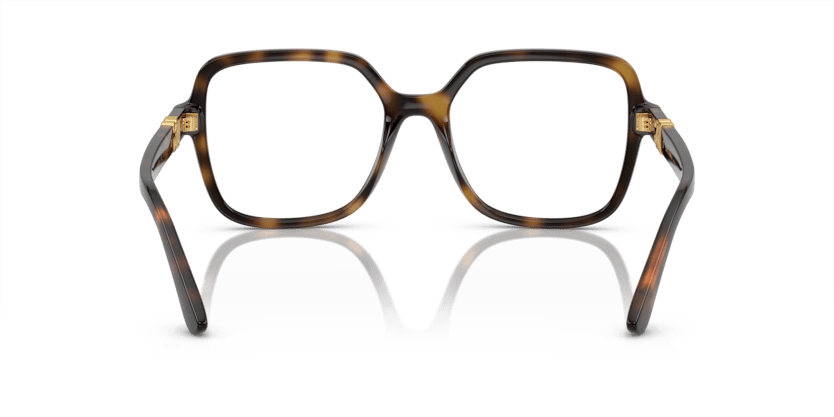 0DG5105U - Dolce & Gabbana - Tortoise - (Havana 502) - 53 - 18 - 145 MM - Ardor Eyewear 8056597949422