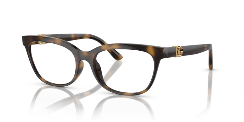 Tortoise (Havana - 502) 8056597949163