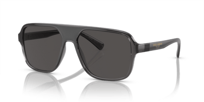 Transparent Grey/Black - 0DG6134 8056597186216