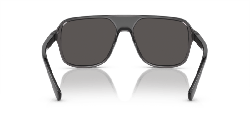 Transparent Grey/Black - 0DG6134 8056597186216