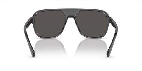 Transparent Grey/Black - 0DG6134 8056597186216