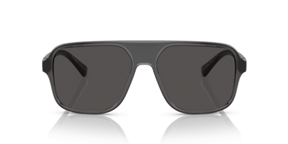 Transparent Grey/Black - 0DG6134 8056597186216