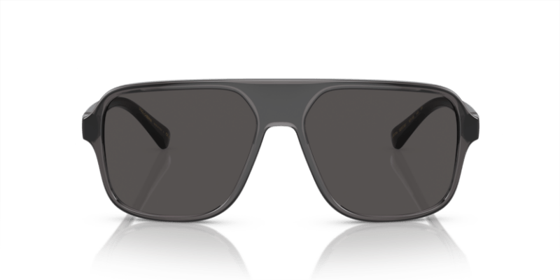 Transparent Grey/Black - 0DG6134 8056597186216