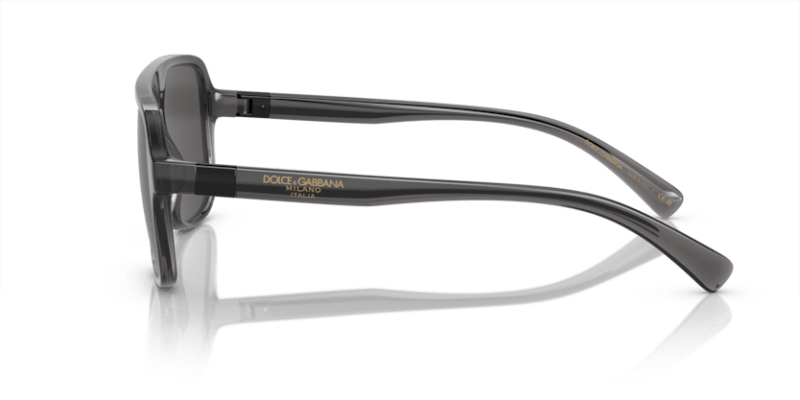 Transparent Grey/Black - 0DG6134 8056597186216