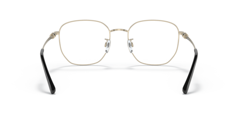 Shiny Pale Gold/Black - 0EA1134D 8056597630115