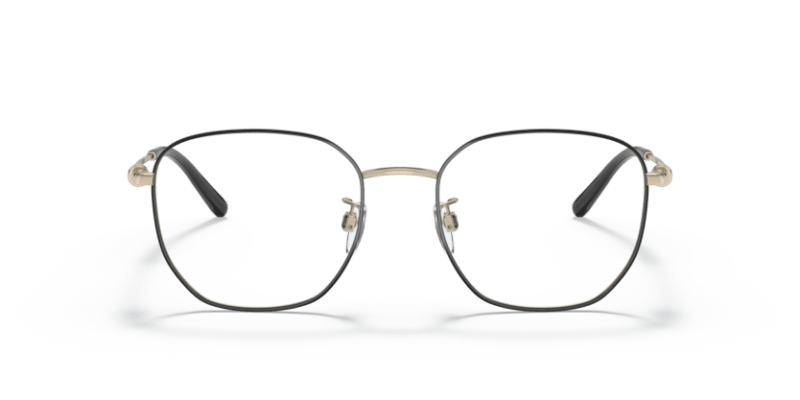 Shiny Pale Gold/Black - 0EA1134D 8056597630115