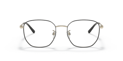 Shiny Pale Gold/Black - 0EA1134D 8056597630115