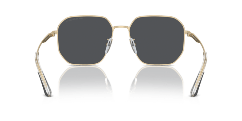 Shiny Pale Gold - 0EA2154D 8056262078907