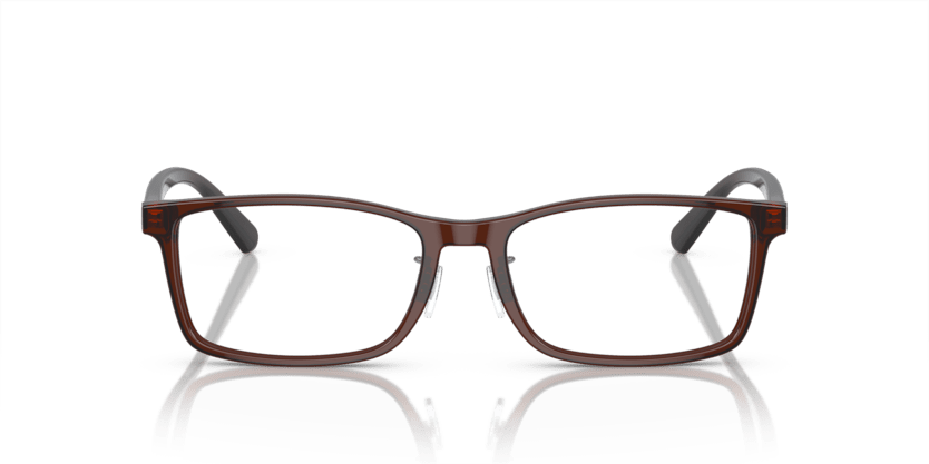 0EA3145D - Emporio Armani - Brown - (Transparent Brown 5374) - 55 - 17 - 145 MM - Ardor Eyewear 8056597978705