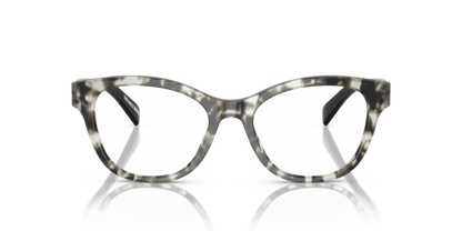 Grey Havana - 0EA3162 8056597850018