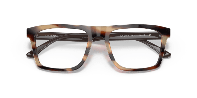 Emporio Armani 0EA3185 Striped Brown 8056597528061