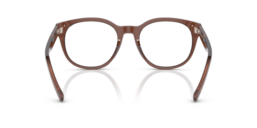 0EA3207 - Emporio Armani - Brown - (Shiny Transparent Brown 5044) - 51 - 20 - 145 MM - Ardor Eyewear 8056597765398