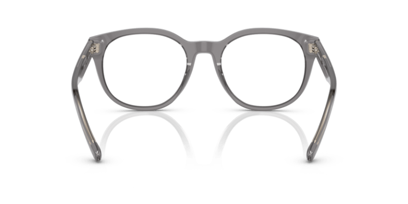 Shiny Transparent Grey - 0EA3207 8056597765435