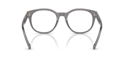 Shiny Transparent Grey - 0EA3207 8056597765435