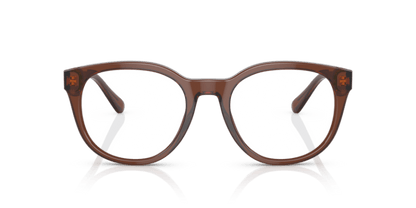 Shiny Transparent Brown - 0EA3207 8056597765398