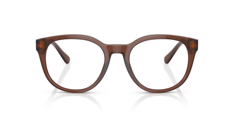 Shiny Transparent Brown - 0EA3207 8056597765398