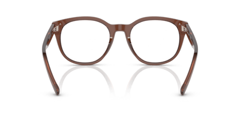 Shiny Transparent Brown - 0EA3207 8056597765398