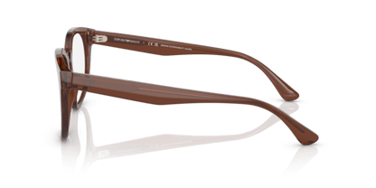 Shiny Transparent Brown - 0EA3207 8056597765398