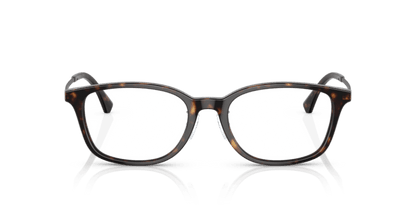 Shiny Havana - 0EA3217D 8056597783774