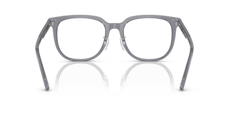 Shiny Transparent Grey - 0EA3226D 8056597835824