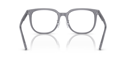 Shiny Transparent Grey - 0EA3226D 8056597835824