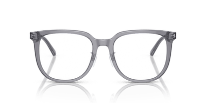 Shiny Transparent Grey - 0EA3226D 8056597835824