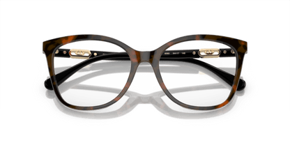 Shiny Havana Red - 0EA3231 8056597949897