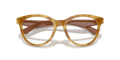 Shiny Light Havana - 0EA3236 8056262037102