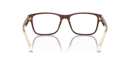 Shiny Opaline Brown - 0EA3239 8056262034668