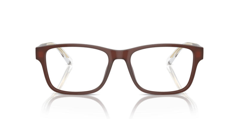 Shiny Opaline Brown - 0EA3239 8056262034668