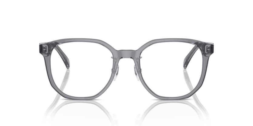 0EA3241D - Emporio Armani - Grey - (Shiny Transparent Grey 5029) - 52 - 20 - 145 MM - Ardor Eyewear 8056262076958