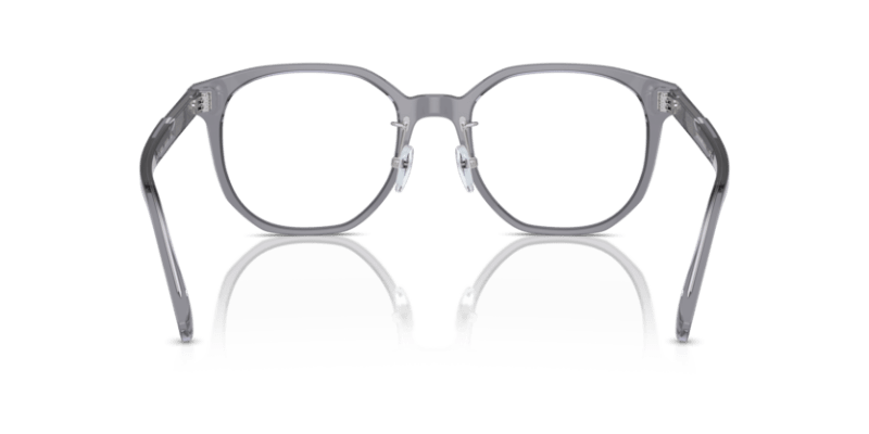 Shiny Transparent Grey - 0EA3241D 8056262076958