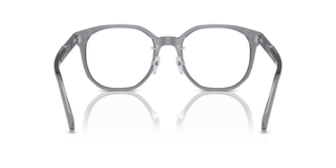 Shiny Transparent Grey - 0EA3241D 8056262076958