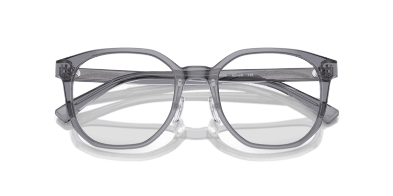 Shiny Transparent Grey - 0EA3241D 8056262076958