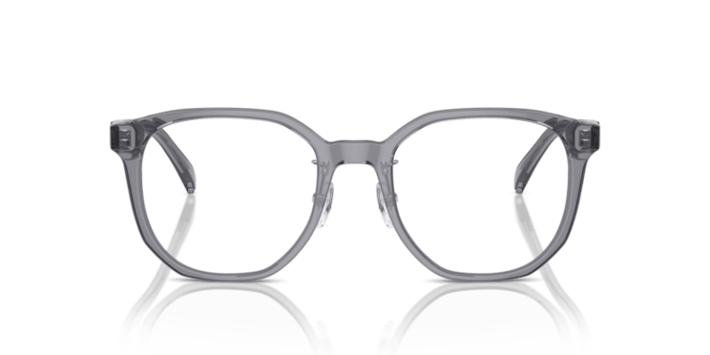 Shiny Transparent Grey - 0EA3241D 8056262076958