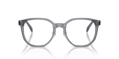 Shiny Transparent Grey - 0EA3241D 8056262076958