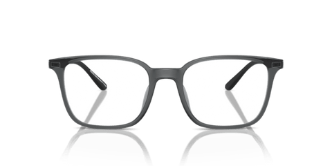 Shiny Transparent Black - 0EA3242U 8056262036310