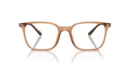 Shiny Transparent Brown - 0EA3242U 8056262036396