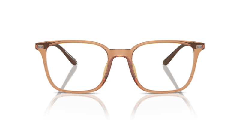 Shiny Transparent Brown - 0EA3242U 8056262036396