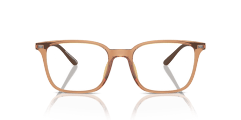 Shiny Transparent Brown - 0EA3242U 8056262036396