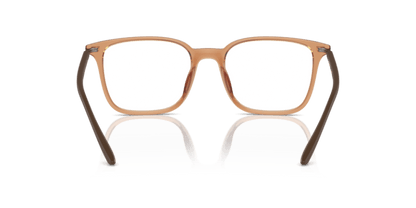 Shiny Transparent Brown - 0EA3242U 8056262036396