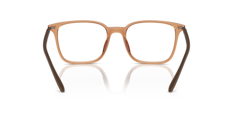 Shiny Transparent Brown - 0EA3242U 8056262036396