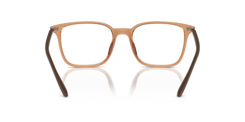 Shiny Transparent Brown - 0EA3242U 8056262036396