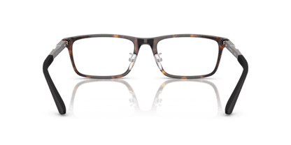 Shiny Havana - 0EA3251D 8056262296448