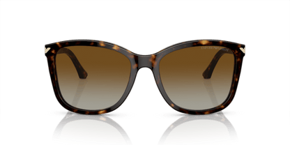 Shiny Havana - 0EA4060 8053672481396