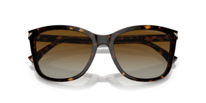 Shiny Havana - 0EA4060 8053672481396