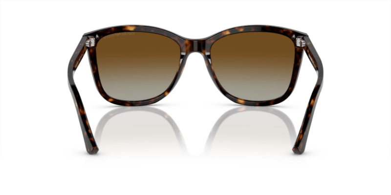 Shiny Havana - 0EA4060 8053672481396