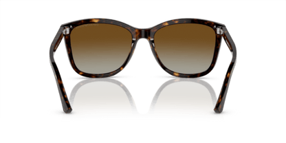 Shiny Havana - 0EA4060 8053672481396