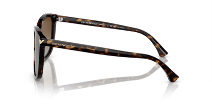 Shiny Havana - 0EA4060 8053672481396