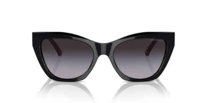 Shiny Black - 0EA4176 8056262082973